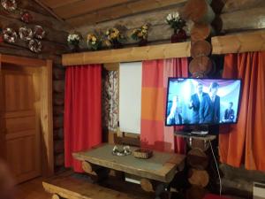 Chalet Ankkaにあるテレビまたはエンターテインメントセンター