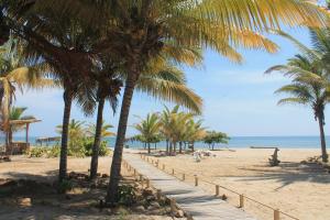 a sandy beach with palm trees and the ocean at La Posada De Los Tumpis in Bocapán