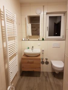 a bathroom with a sink and a toilet and a mirror at Casa Lago Ferienappartements Steinberg am See in Steinberg am See