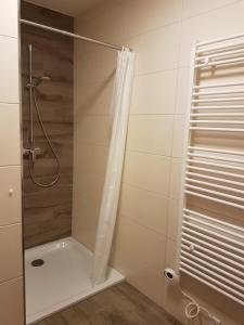 a shower with a shower curtain in a bathroom at Casa Lago Ferienappartements Steinberg am See in Steinberg am See