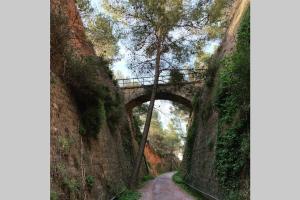 a bridge over a dirt road with a tree at LA CASICA in Segorbe