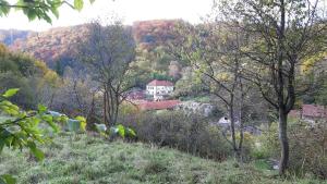 Príroda v okolí hotela