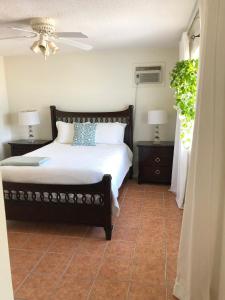 a bedroom with a bed with two night stands and two lamps at Palm Point Loft in Turtle Cove