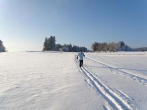Prinzenhof during the winter