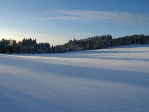 Prinzenhof during the winter