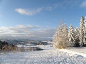 Prinzenhof during the winter
