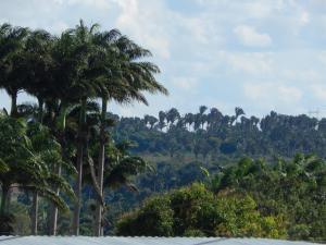 Φυσικό τοπίο κοντά σε αυτός ο ξενώνας