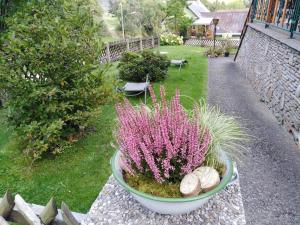 A garden outside Ferienhaus Bauer Wohnung 2