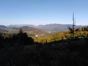 Príroda v okolí apartmánu