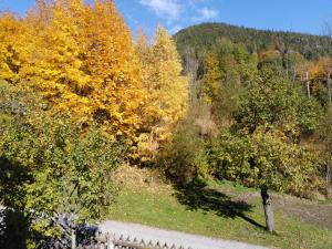 Príroda v okolí apartmánu