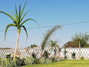 a fence with a palm tree in front of a yard at Masane Lodge in Rustenburg