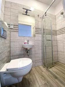 a bathroom with a toilet and a sink and a shower at Freedom Hostel in Kraków