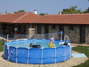 a dog and a cat are sitting in a pool at Dobrevata House in Shabla