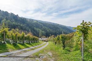 Príroda v okolí apartmánu