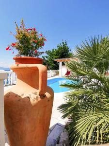 Fotografie z fotogalerie ubytování Villa Marritanja v destinaci Podaca