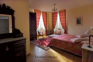 um quarto com uma cama, uma televisão e janelas em Château de La Grèze em Beaulieu-sur-Dordogne
