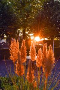 Galeriebild der Unterkunft HANSA Hotel in Mendig + 38 Fotos