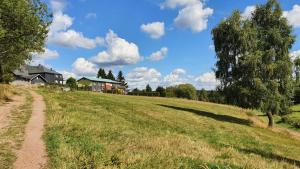 ein Feld mit einem Baum und einem Feldweg in der Unterkunft Monis gemütliche Ferienwohnungen in Schmiedefeld am Rennsteig