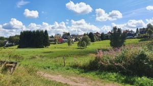 een grasveld met een stad op de achtergrond bij Monis gemütliche Ferienwohnungen in Schmiedefeld am Rennsteig