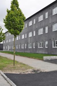 uma árvore em frente a um grande edifício em Apartments Lund em Lund