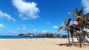 una playa con palmeras y gente en ella en Beach Studios, en Las Palmas de Gran Canaria