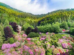 Fotografie z fotogalerie ubytování Appartamento Conca dei Rododendri v destinaci Trivero