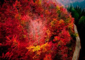 Fotografie z fotogalerie ubytování Appartamento Conca dei Rododendri v destinaci Trivero