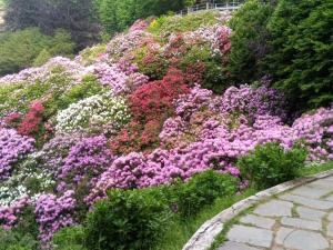 Fotografie z fotogalerie ubytování Appartamento Conca dei Rododendri v destinaci Trivero