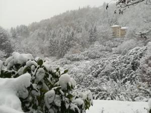 Fotografie z fotogalerie ubytování Appartamento Conca dei Rododendri v destinaci Trivero