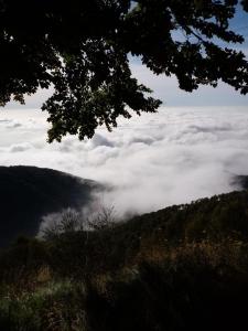 Fotografie z fotogalerie ubytování Appartamento Conca dei Rododendri v destinaci Trivero