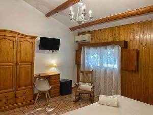 1 dormitorio con 1 cama, escritorio y TV en Delta Hotel, en Deltebre