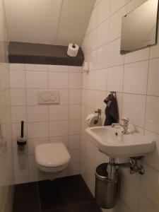 a white bathroom with a toilet and a sink at B&B De Kandelaar in Biddinghuizen +10 photos
