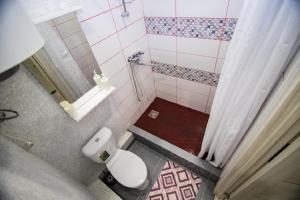 a small bathroom with a toilet and a shower at Студия ЦЕНТР города, Красноармейский 96а in Barnaul