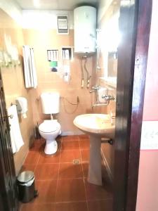 a bathroom with a white sink and a toilet at Mini Hotel-Bohemi in Plovdiv