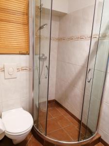 bagno con doccia e servizi igienici. di 25qm Appartment AUGUSTE a Rostock