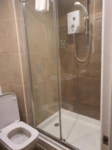 a bathroom with a shower and a toilet at the swan stoford in Salisbury
