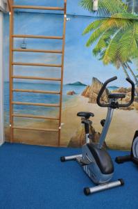 ein Zimmer mit einem Fahrrad und einem Gemälde des Strandes in der Unterkunft Apart Hotel Stadtgarten in Überlingen