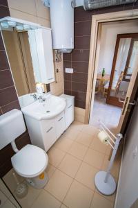 a bathroom with a toilet and a sink at Holiday Home Dubi in Kornić