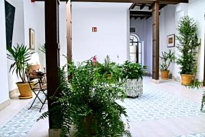 Ogród w obiekcie Apartamentos Turísticos Mamelón