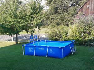 a blue pool in the grass in a yard at Ferienwohnung Leibl in Oberviechtach