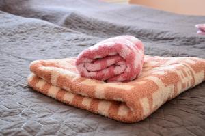 Łóżko lub łóżka w pokoju w obiekcie Pokoje gościnne u Grażki
