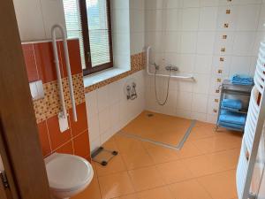 a bathroom with a shower and a toilet in it at Apartmán Pod Drátníkem in Svratka