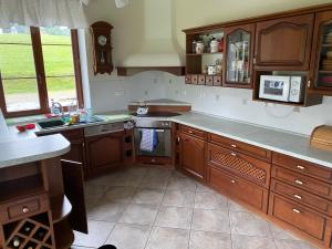 a large kitchen with wooden cabinets and a sink at Apartmán Pod Drátníkem in Svratka