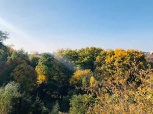 una vista aérea de un bosque en otoño en JULIUSZ, en Sandomierz
