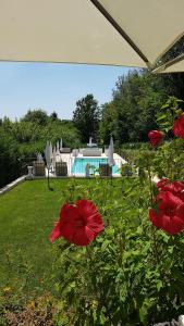 The swimming pool at or close to GARDAWORLD
