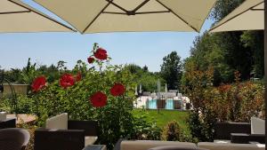 A garden outside GARDAWORLD