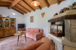 a living room with a couch and a fireplace at Beautiful stone istrian villa Anamaria with pool near the beach in Šišan