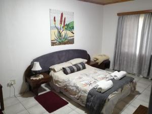 a bedroom with a bed with pillows on it at Hippo Farm Apartment in Gobabis