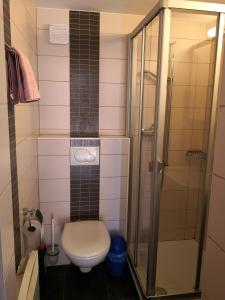 a small bathroom with a toilet and a shower at Chalet Valaisia in Riederalp