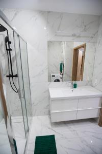 Kúpeľňa v ubytovaní Apartament Ventus Business and Living 44 + 37 fotografií